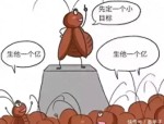 家里放点这个，蟑螂立刻消失，秘密竟然这么简单！